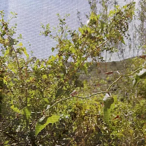  Сasa de vacaciones Casa El Dragonet